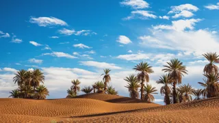 Tunézia – Észak-Afrika mediterrán kapuja